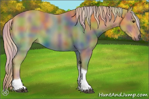 Horse Color:Nacre Palomino Tobiano 