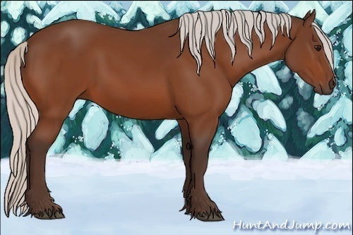 Horse Color:Silver Bay 