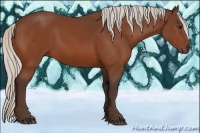 Horse Color:Silver Bay