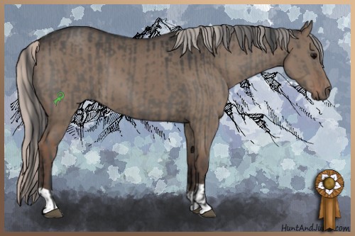 Horse Color:Grullo  and Silver Grullo 