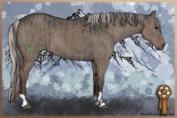 Horse Color:Grullo  and Silver Grullo 