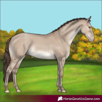 Horse Color:Classic Champagne Dun 