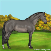 Horse Color:Grullo Rabicano 