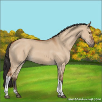 Horse Color:Bay Dun