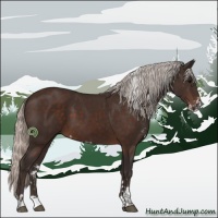 Horse Color:Silver Brown Sabino 