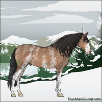 Horse Color:White Spotted Brown Dun