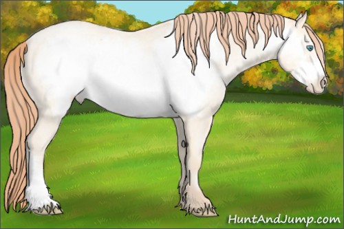 Horse Color:Amber Cream Champagne Roan Pearl Frame 