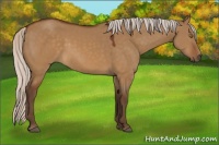 Horse Color:Silver Buckskin Dun 