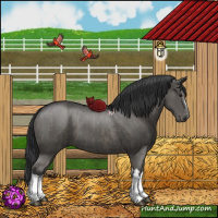 Horse Color:Grullo  and Grullo 