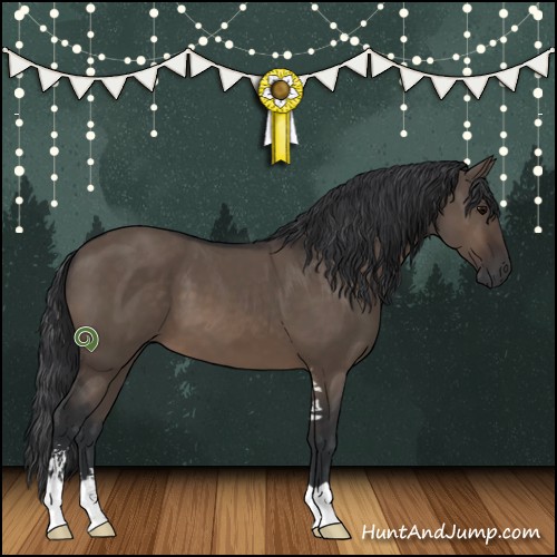 Horse Color:Brown Dun Sabino 