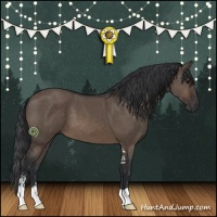 Horse Color:Brown Dun Sabino