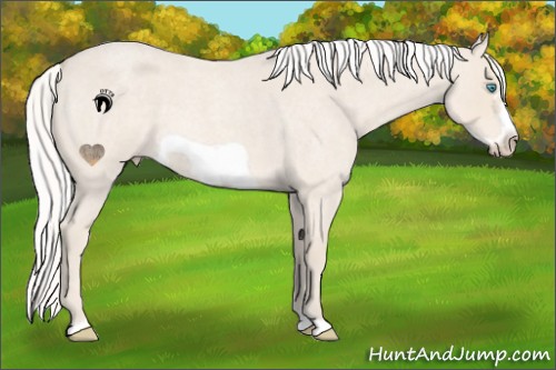 Horse Color:Silver Smoky Creme Roan Frame 