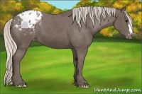 Horse Color:Silver Black Blanket 