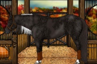 Horse Color:Liver Chestnut Ice Tobiano