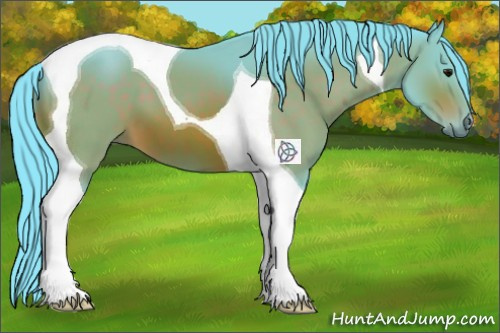 Horse Color:Watercolor Bay Tobiano 