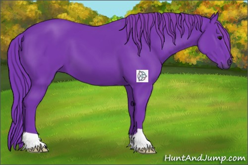Horse Color:Watercolor Black 