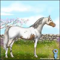 Horse Color:White Spotted Chocolate Palomino Blanket Rabicano  and White Spotted Chocolate Palomino Pearl Dun Snowcap 