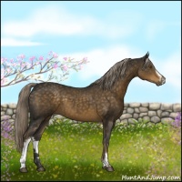 Horse Color:White Spotted Chocolate Palomino 