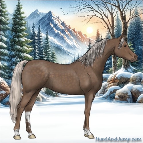 Horse Color:Silver Blue Roan 
