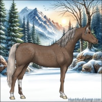 Horse Color:Silver Blue Roan 