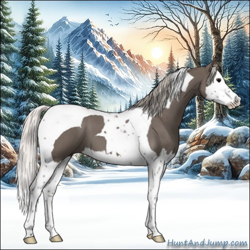 Horse Color:Silver Blue Roan Splash Tobiano