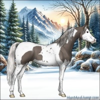 Horse Color:Silver Blue Roan Splash Tobiano 