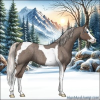 Horse Color:Silver Blue Roan Splash Tobiano 