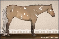 Horse Color:White Spotted Silver Brown Dun 