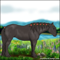 Horse Color:Smoky Black 