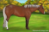 Horse Color:Silver Bay 