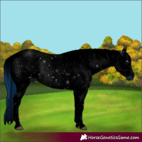 Horse Color:ERROR: UNKNOWN ANOMALY