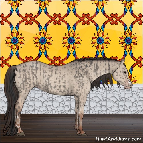 Horse Color:Grullo  and Classic Champagne Dun 