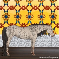 Horse Color:Grullo  and Classic Champagne Dun 