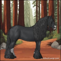 Horse Color:Black Splash Frame Rabicano