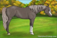 Horse Color:Silver Black 
