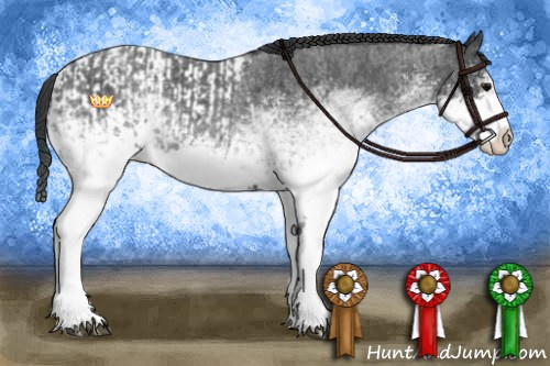 Horse Color:White Spotted Blue Roan Splash  and White Spotted Blue Roan Splash Appaloosa 