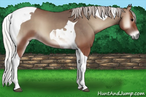 Horse Color:Silver Blue Onyx Tobiano 