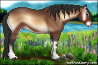 Horse Color:Brown Onyx 