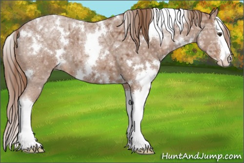 Horse Color:White Spotted Red Ice Roan Splash 