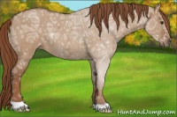 Horse Color:Red Dun Ice Roan