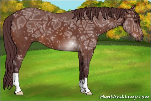 Horse Color:Chocolate Brown Ice Roan 