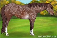 Horse Color:Chocolate Brown Ice Roan 