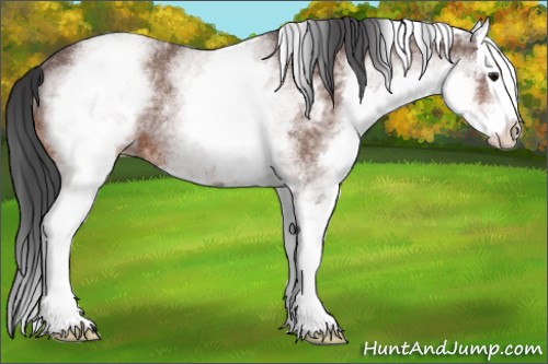 Horse Color:White Spotted Bay Ice Roan Splash 
