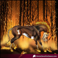 Horse Color:Bay Splash Frame Rabicano 