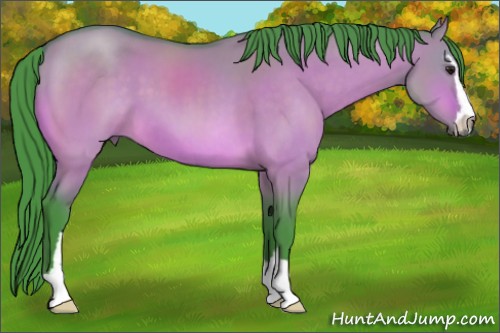 Horse Color:Watercolor Bay Dun Sabino 
