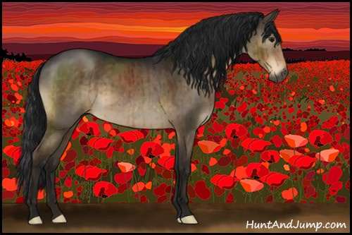 Horse Color:Gray Brown Dun Brindle