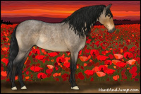 Horse Color:Gray Buckskin Roan Dun Rabicano