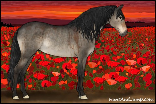 Horse Color:Gray Brown Dun Rabicano Brindle 