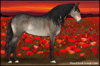 Horse Color:Gray Brown Dun Rabicano Brindle 