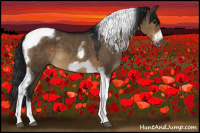 Horse Color:Gray Brown Dun Tobiano Frame